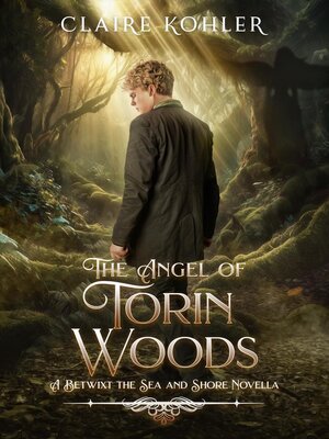 cover image of The Angel of Torin Woods